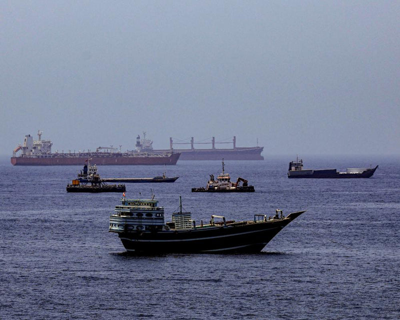 Strait of Hormuz Ship Stranding Sparks Bio-Invasion Threat