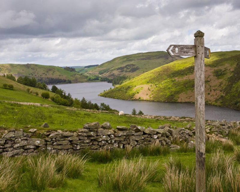 Glyndwr's Way: Hiking Wales' Heroic Rebel Prince Trail