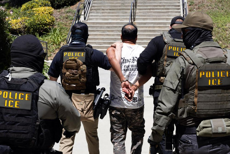 Trump's Strategic ICE Pivot: From Mass Raids to Quiet Crackdown