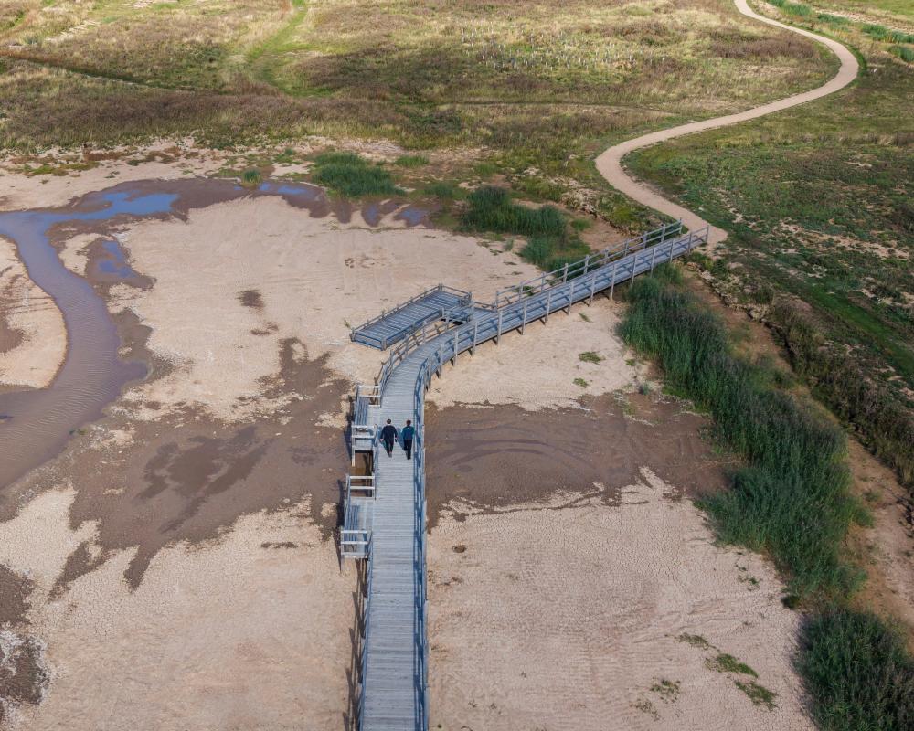 Skylarks and Sandwich Terns Among New Birds on Reserve