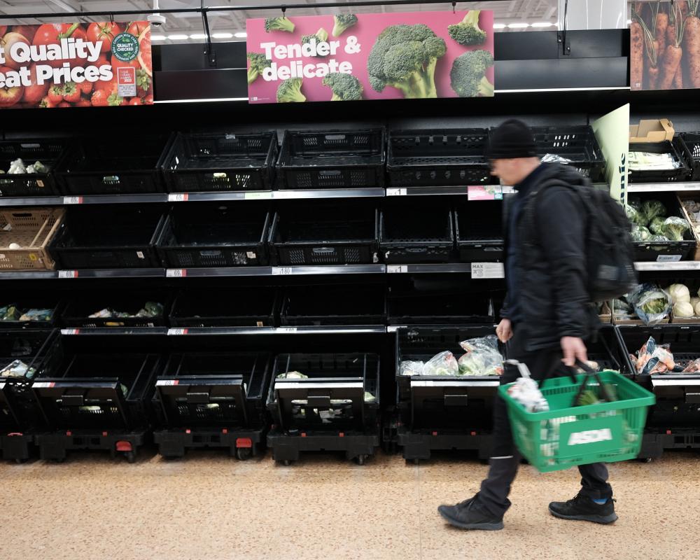 Ecosystem Collapse Report Sparks UK Security Alarm
