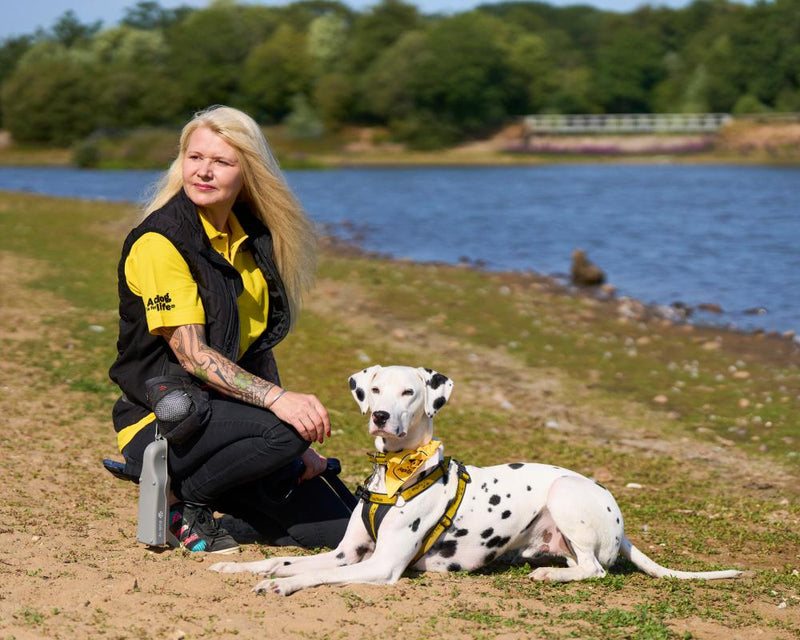 UK Water Safety for Dogs: Essential Tips to Prevent Drowning