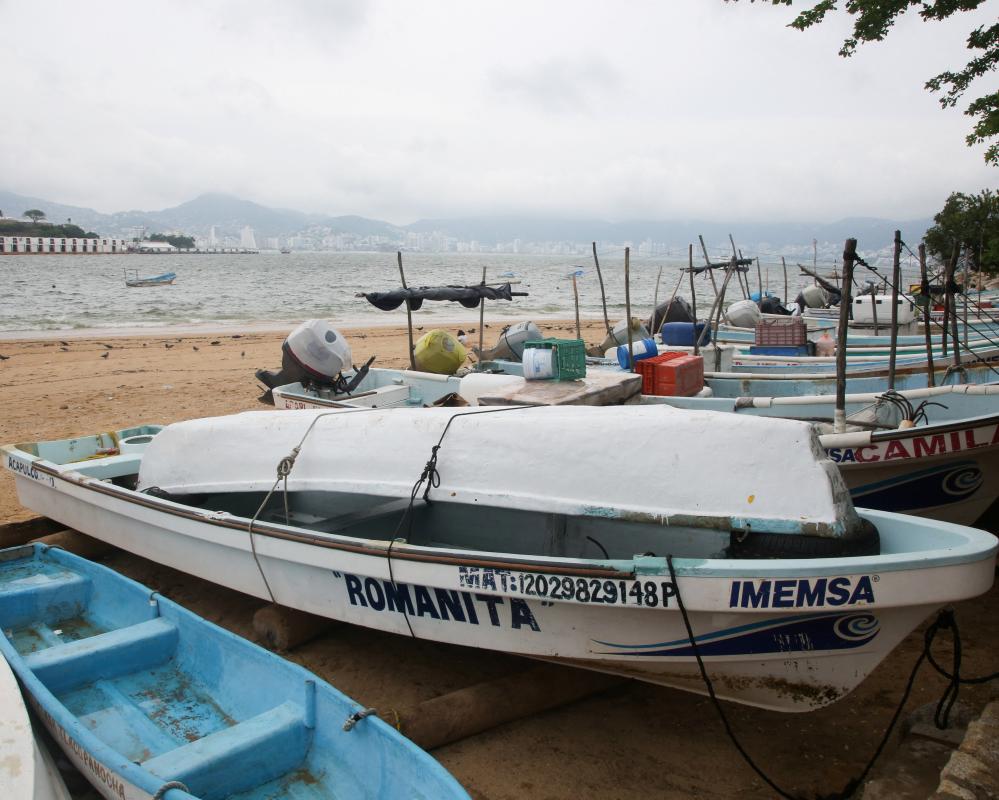 Hurricane Trudy Hits Mexico, Greece Floods Kill Five