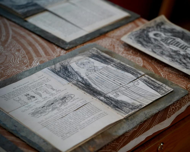 The Book of Genocides: Graphic Novel Exposes Holocaust and Palestinian