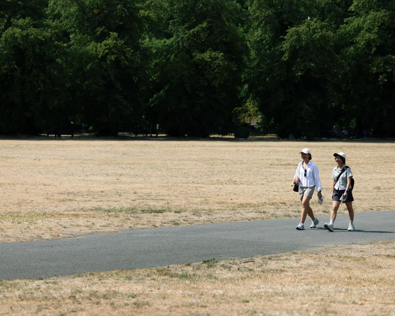 England Drought Crisis: Half of Country in Exceptionally Serious