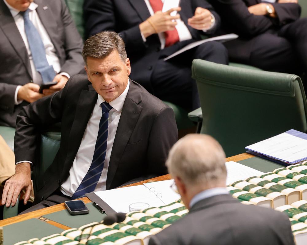 NDIS Support Tied to Repeal of 'Widow Tax' by Coalition