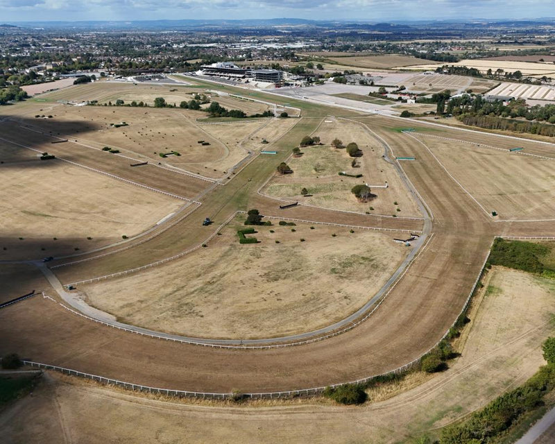 Cheltenham Racecourse Reopens After Drainage Repair Work