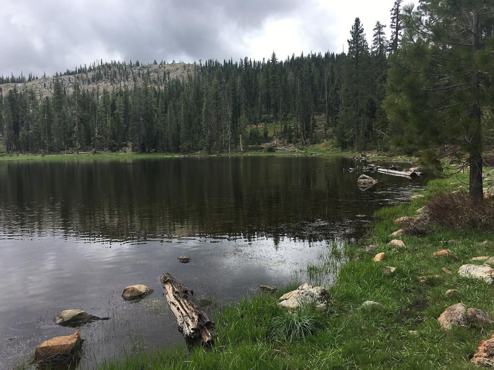 Kidnapping of Forest Service Workers: California Incident Details