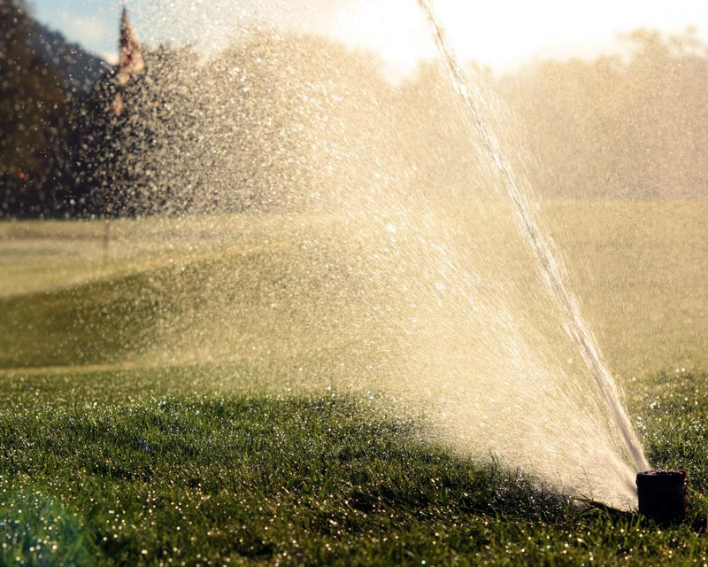Golf Clubs Breach Water Rules: 140 Violations in England Exposed