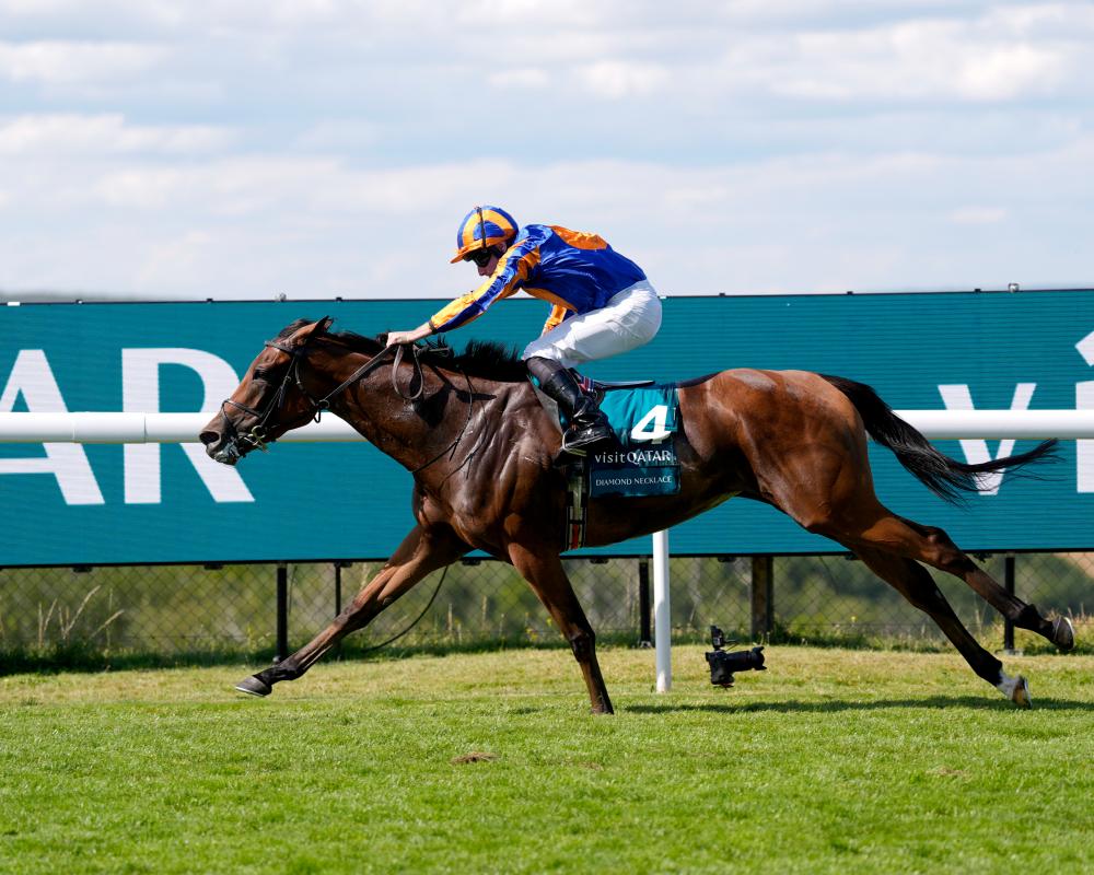 Diamond Necklace Arc Odds Rise After Glorious Goodwood Win