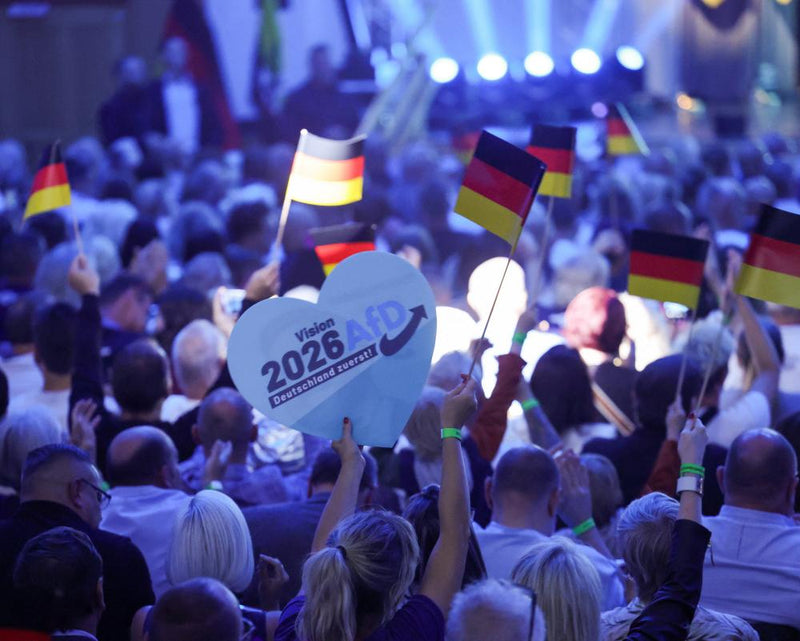 Why East Germans Vote AfD: Economic Fears and Political Impact