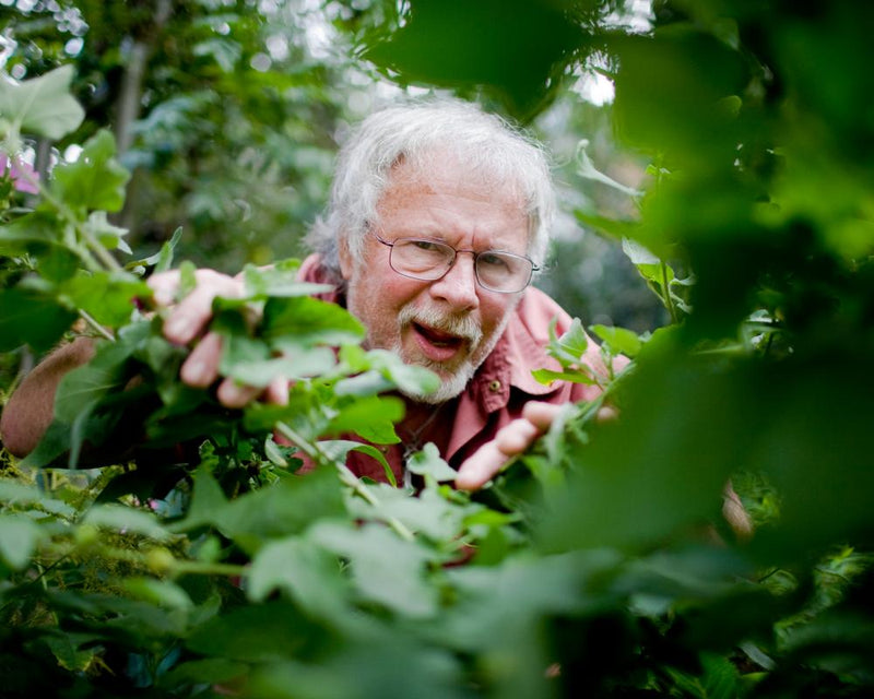 Bill Oddie Dead at 85: Comedy Legend and Birdwatcher Remembered