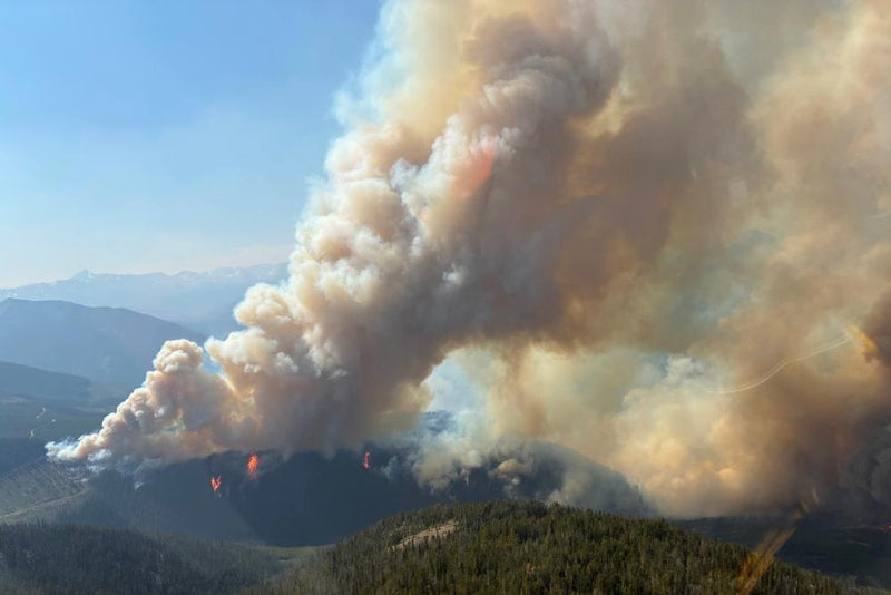 Canada Wildfire Crisis Demands National Agency for Emergency