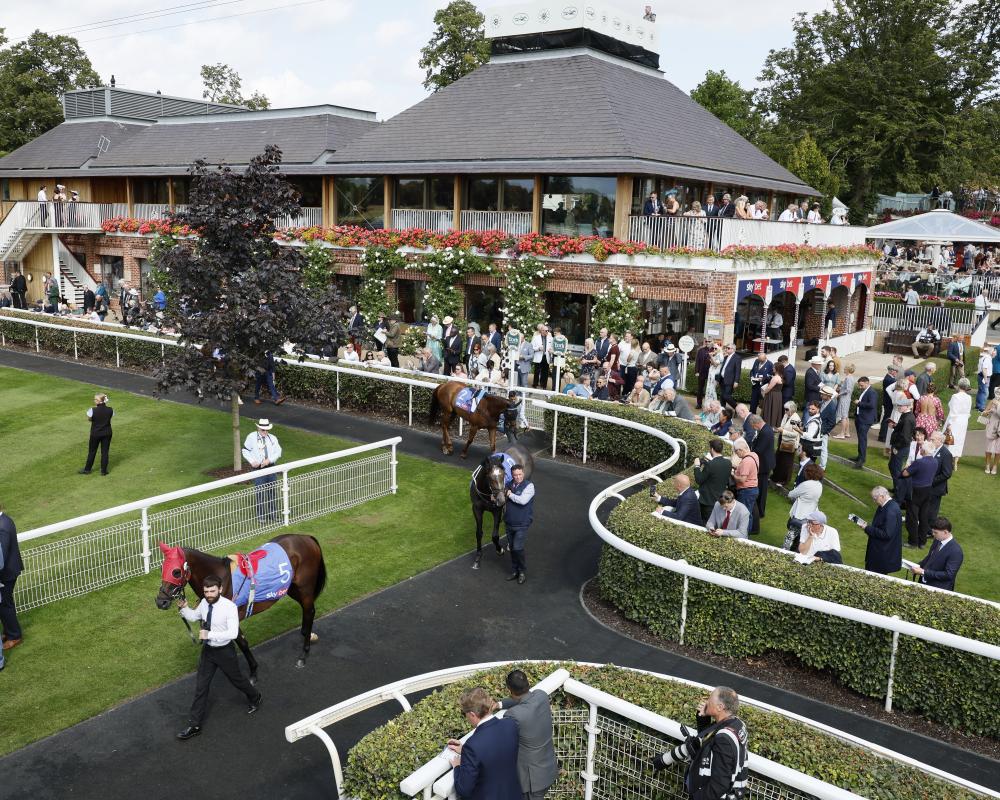 Horse Racing Live: Ebor Festival Final Day from York - Results