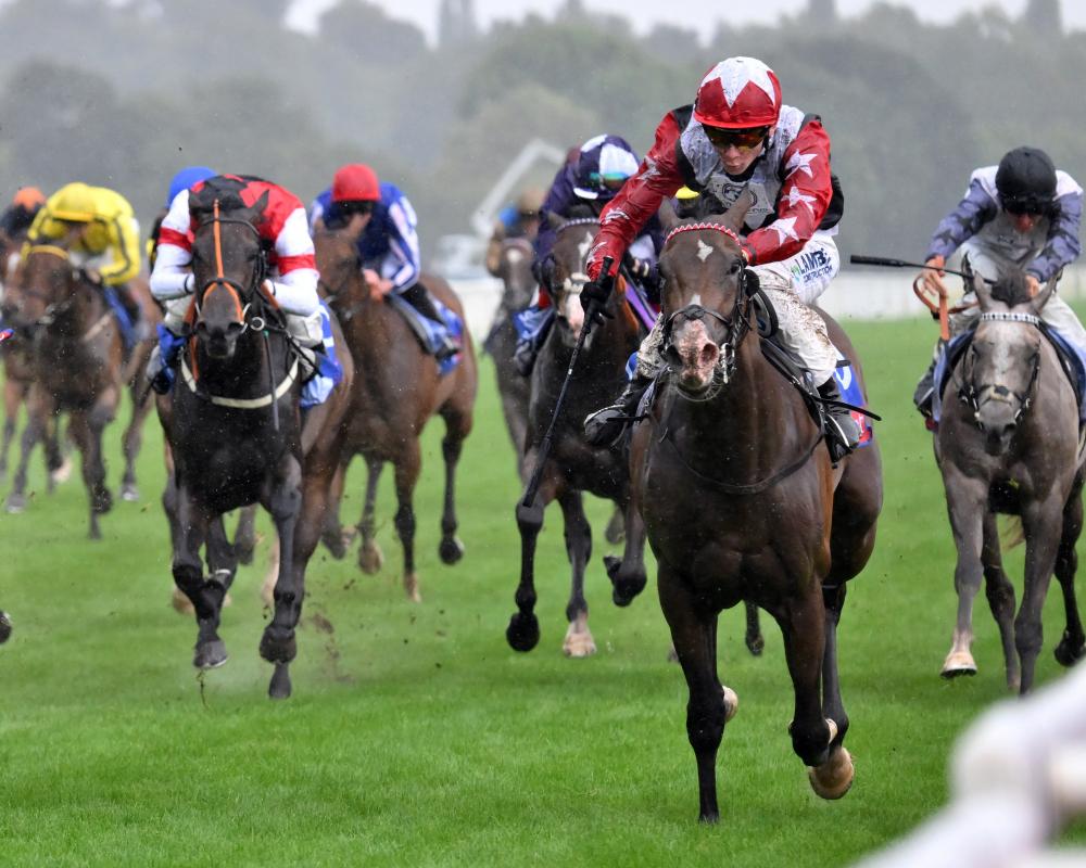 Yorkshire Oaks 2025: Kalpana Holds On for Group One Victory