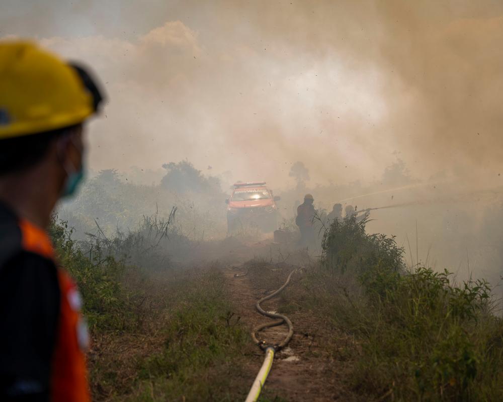 Indonesia Wildfires Threaten Orangutans at Rescue Center