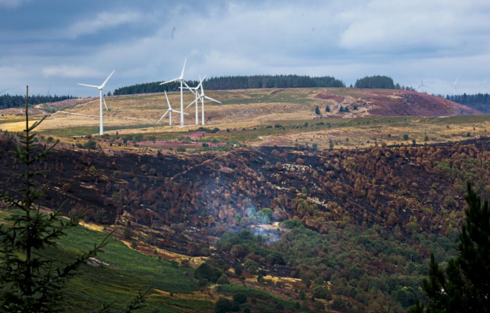South Wales Summer Wildfires: A Lingering Memory of Fire
