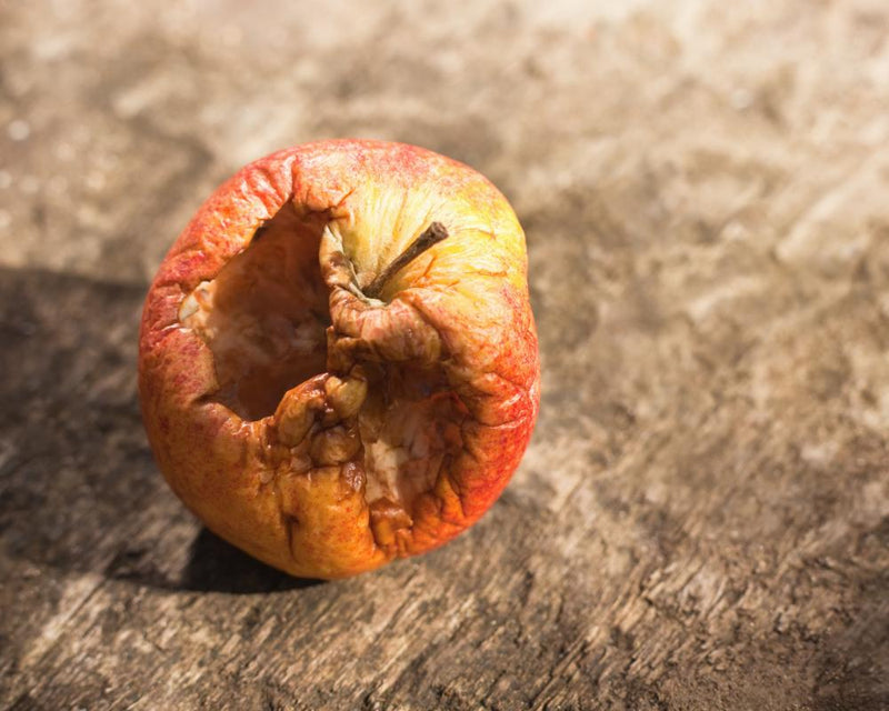 Bad Apple Effect: How Rule-Breaking Spreads in Groups