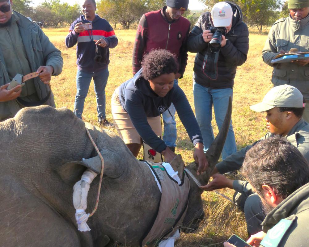 Drones and Tech Revolutionize Africa Nature Reserve Conservation