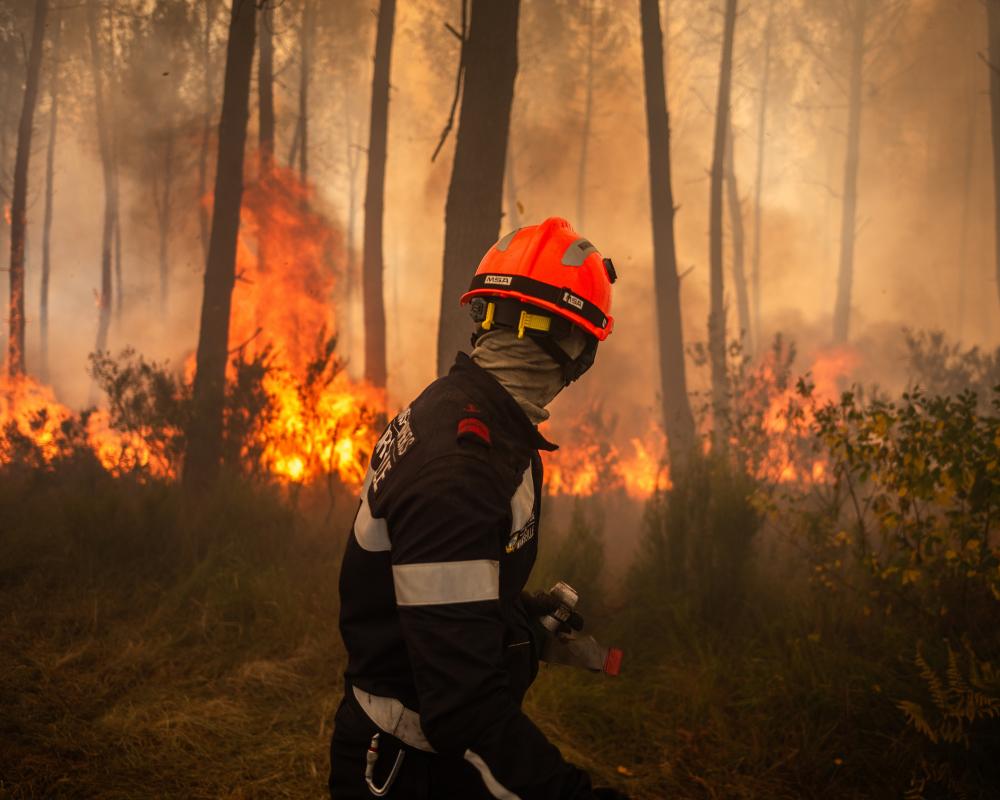 France Wildfires: Climate Crisis Ignites Political Debate