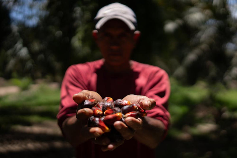 Honduran Farmers Labeled Terrorists for Protecting Land: A Deep