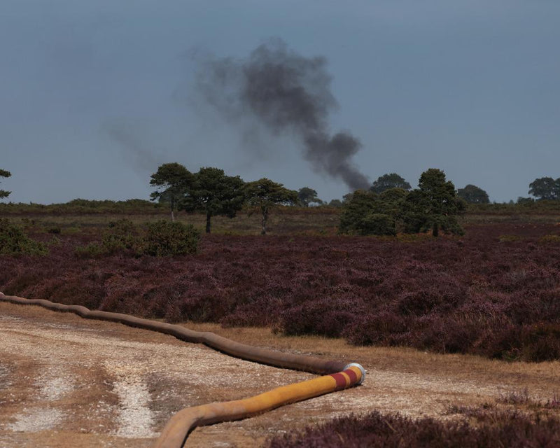 New Forest Wildfire: UK Hottest Summer Sparks Fire Risk