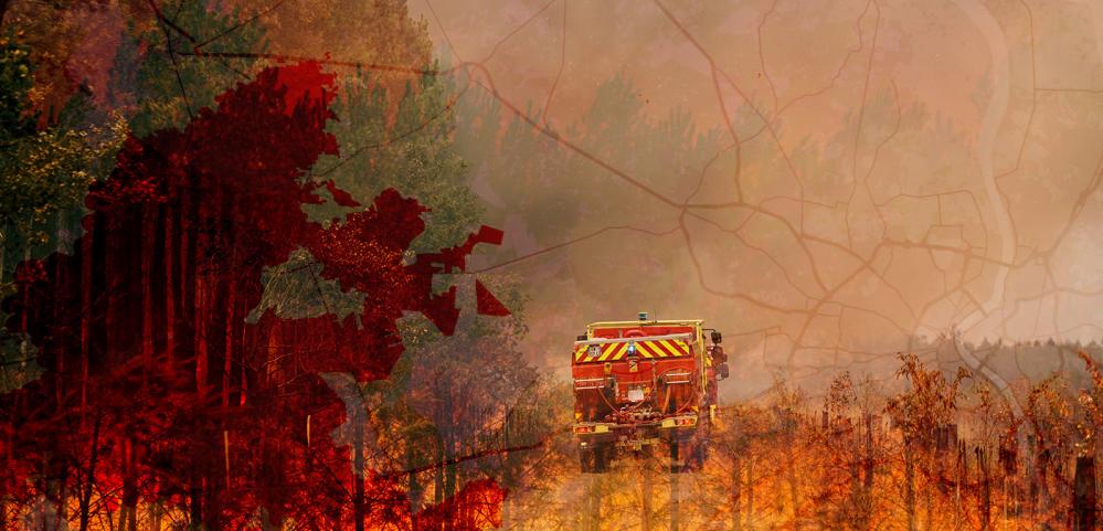 France Wildfires: How Pine Forests Fuel Climate Disaster