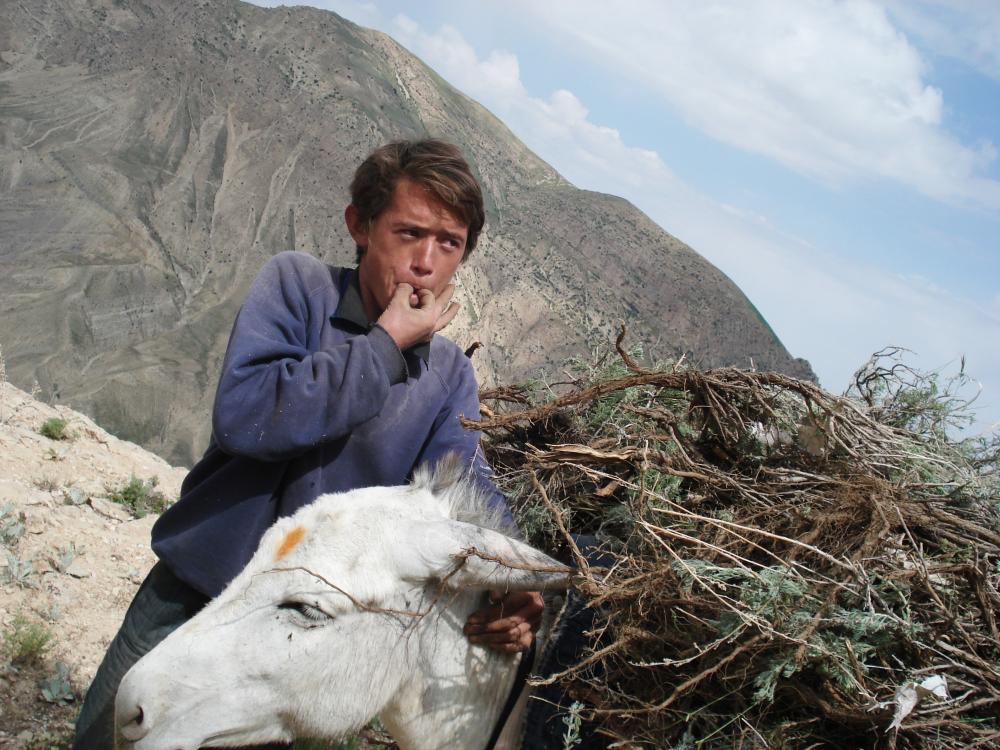 25 Years in Afghanistan Review: Extraordinary Optimist Story