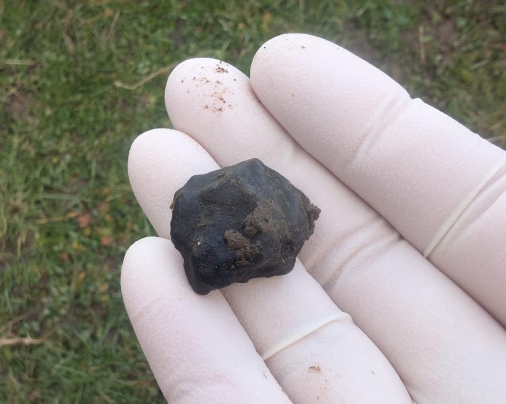 Citizen Scientists Track Down New Zealand Meteorite
