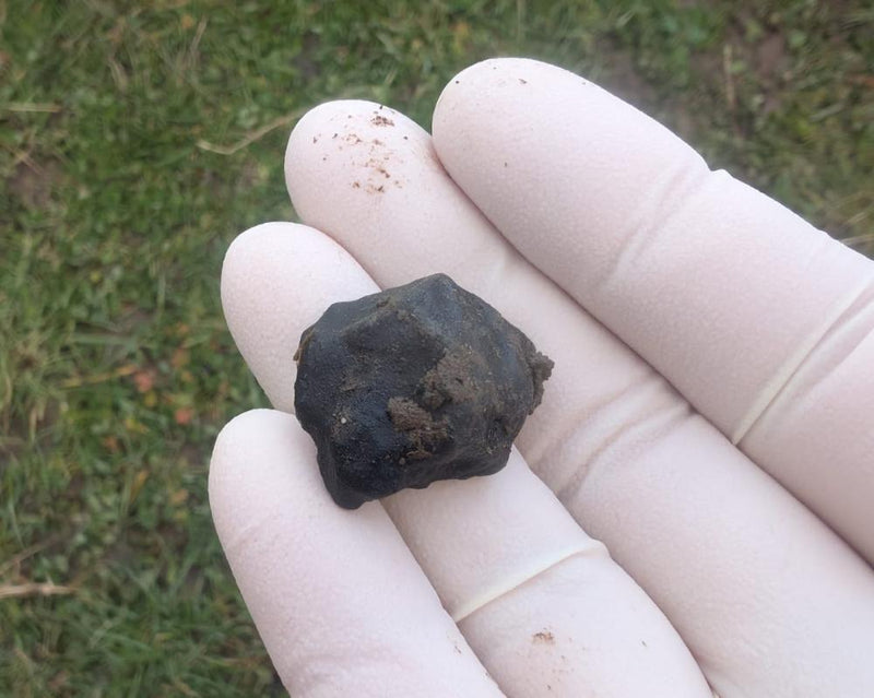 Citizen Scientists Track Down New Zealand Meteorite