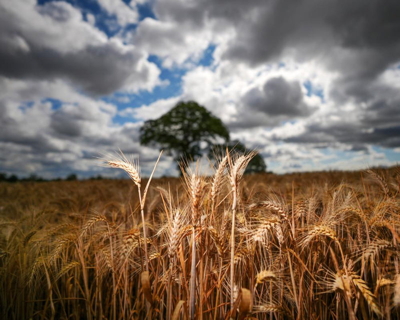 The Reform Climate vs Economy Trade-Off Is a False Choice