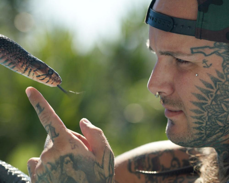 Monsters of God Review: Reptile Smuggling Feud Gets Tiger King