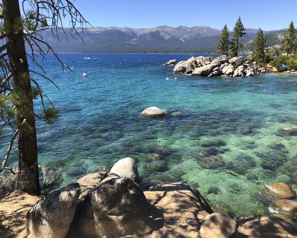 Otter Attack at Lake Tahoe: Swimmer Hospitalized After Rare Encounter