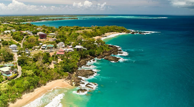 Tobago Tourism Expansion vs Turtle Nests: Rocky Point Debate