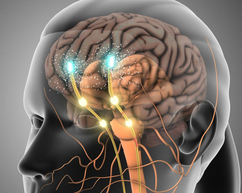 Human Interaction Boosts Feelgood Hormones More Than Online Chats