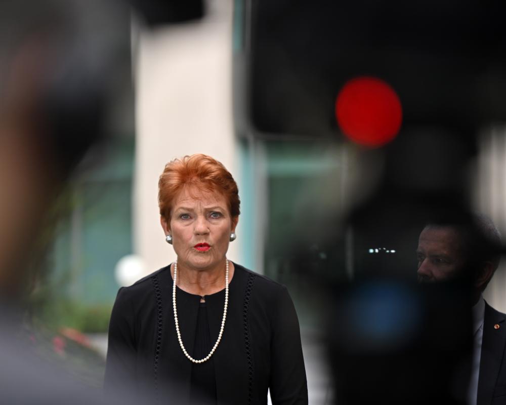 One Nation's Immigration Policy Clarity: Hanson's Secret Weapon