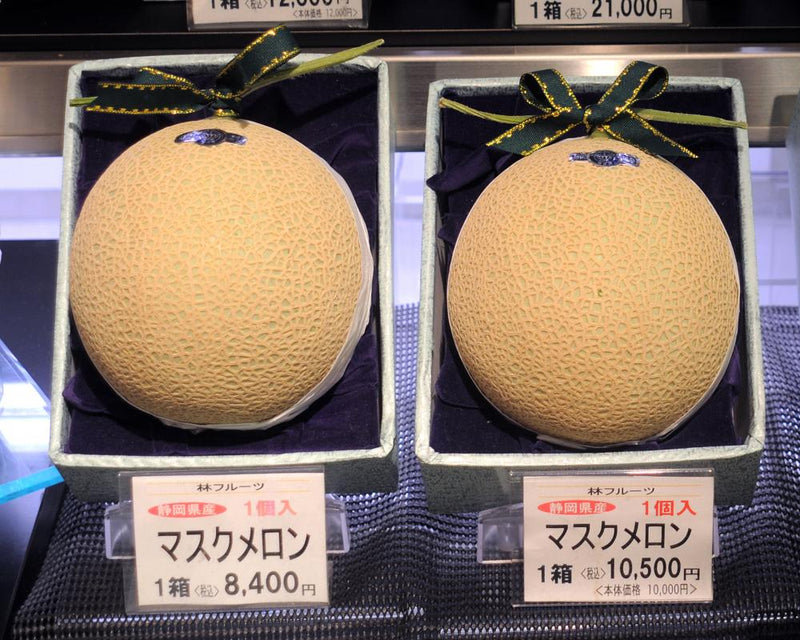 Australia Melon-Gate: Luxury Fruit Behind PM Controversy
