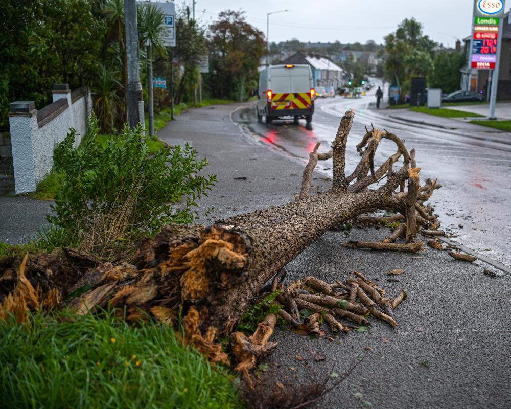 Storm Austen Leaves 16,000 Homes Without Power in South-West England