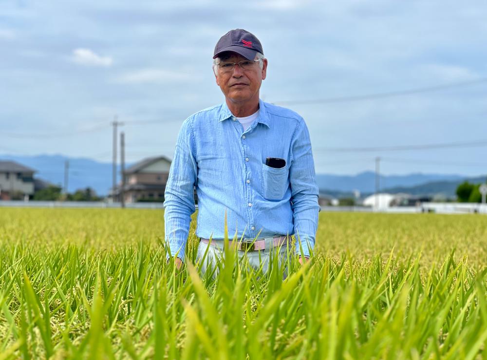 Japan Farmers Use Heat-Resistant Rice Varieties to Boost Staple Crop