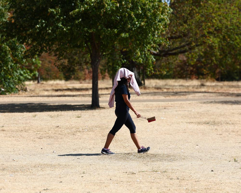 England Drought: 75% Affected as Heatwave Looms