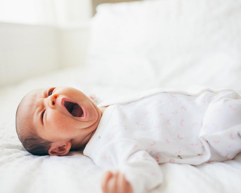 Falling Birthrates: Why Cash Alone Cannot Buy Belonging