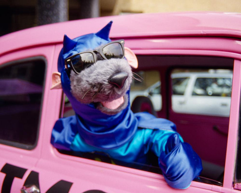 1980s TV Icons Revisited: Nostalgia Trip Through Classic Shows