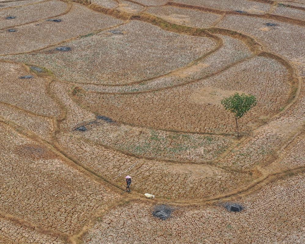 Super El Niño Projected to Cause 450,000 Deaths in Six Months