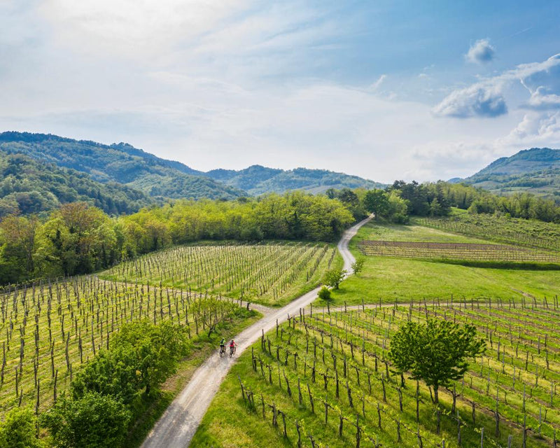 Slovenia's Secret Valley: A Slow Travel Success Story