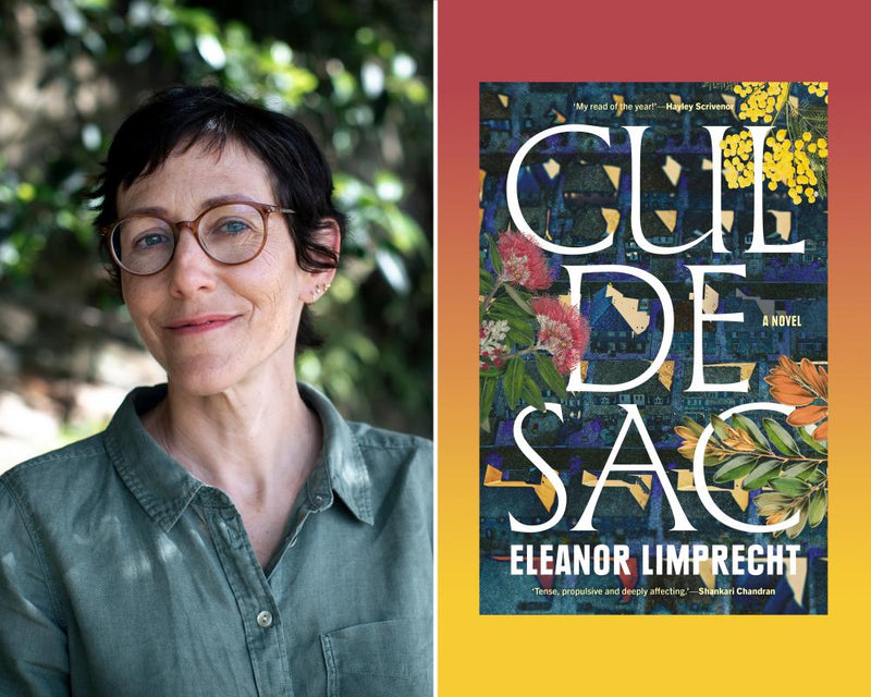 Cul-de-Sac by Eleanor Limprecht: A Powerful Domestic Abuse Novel