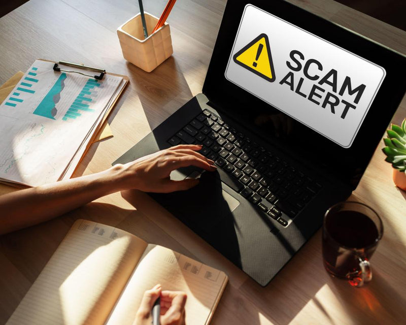How to Spot and Avoid a Homoglyph Phishing Attack