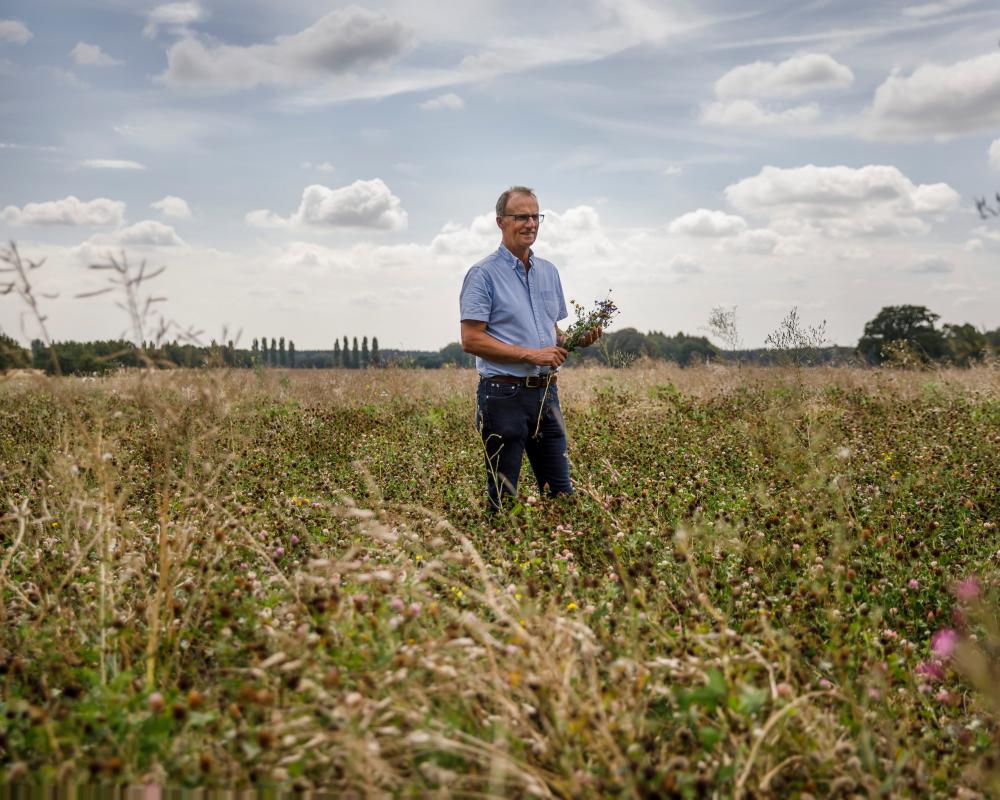 UK Vegetable Crop Crisis: Drought and Heat Force Imports