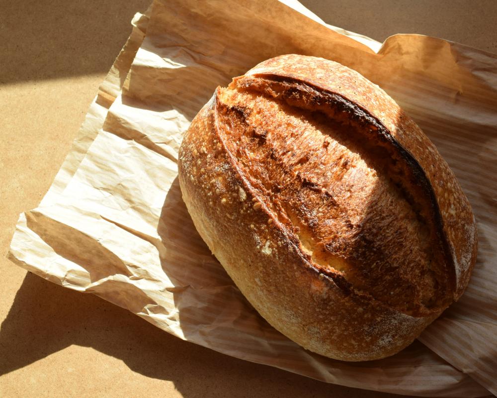 Best Way to Store Bread: Fridge or Room Temperature