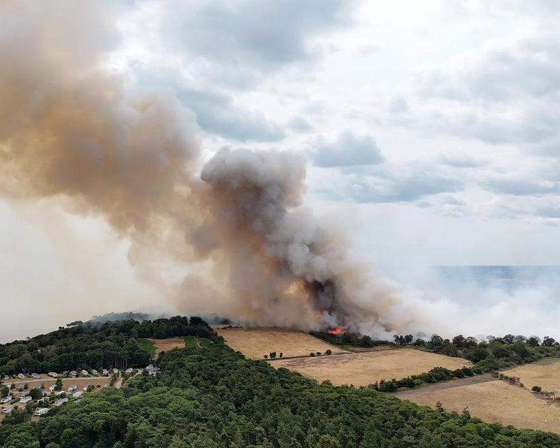 Climate Denial Debate Heats Up as UK Faces Drought and Wildfires