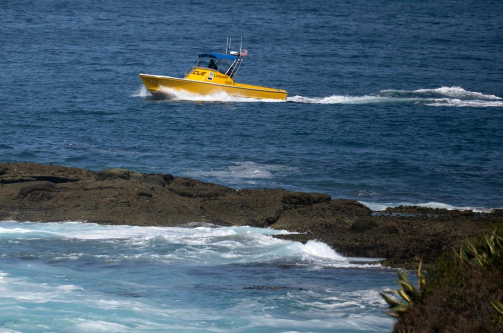 Drowning Deaths Surge: Essential Water Safety Tips for Swimmers
